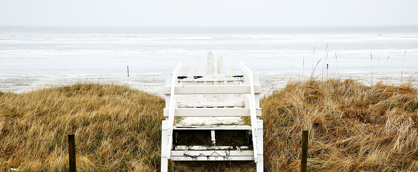 网页攻击器教程