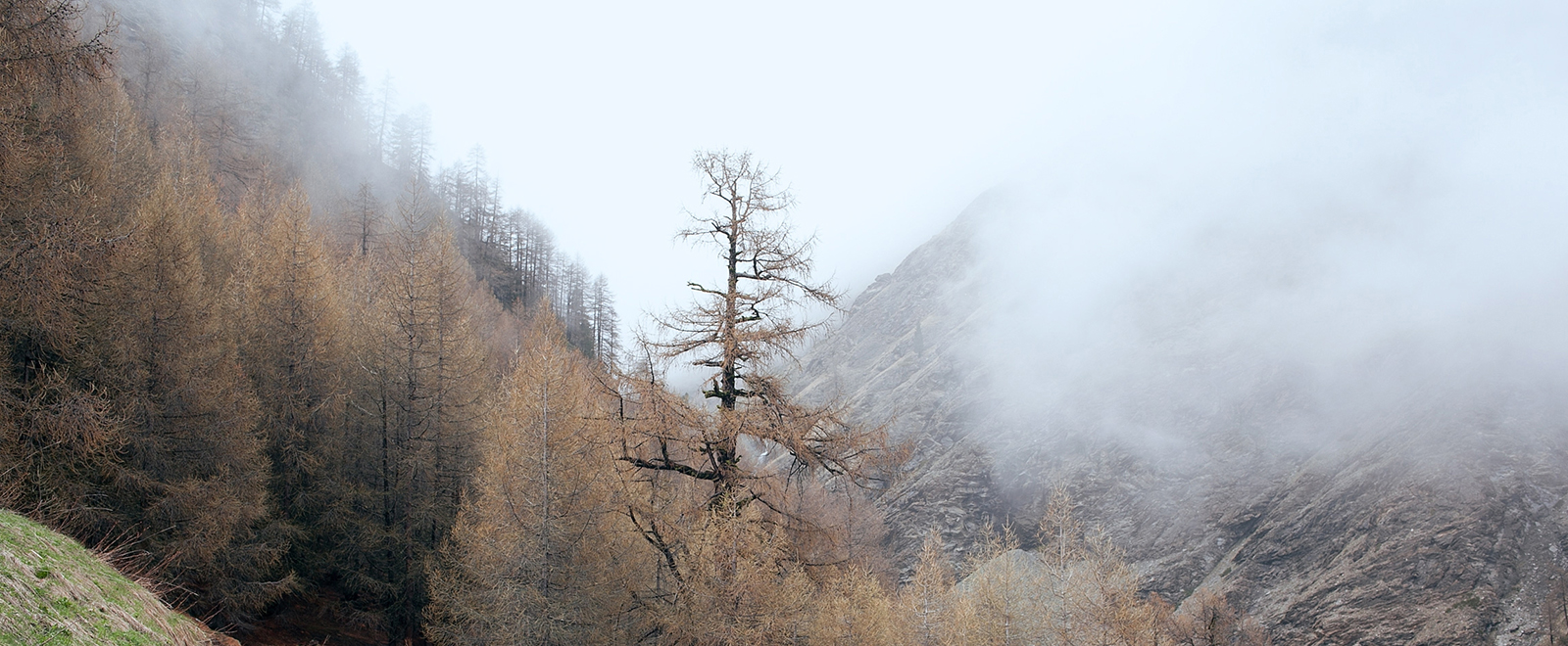 不限时间的ddos压力测试平台